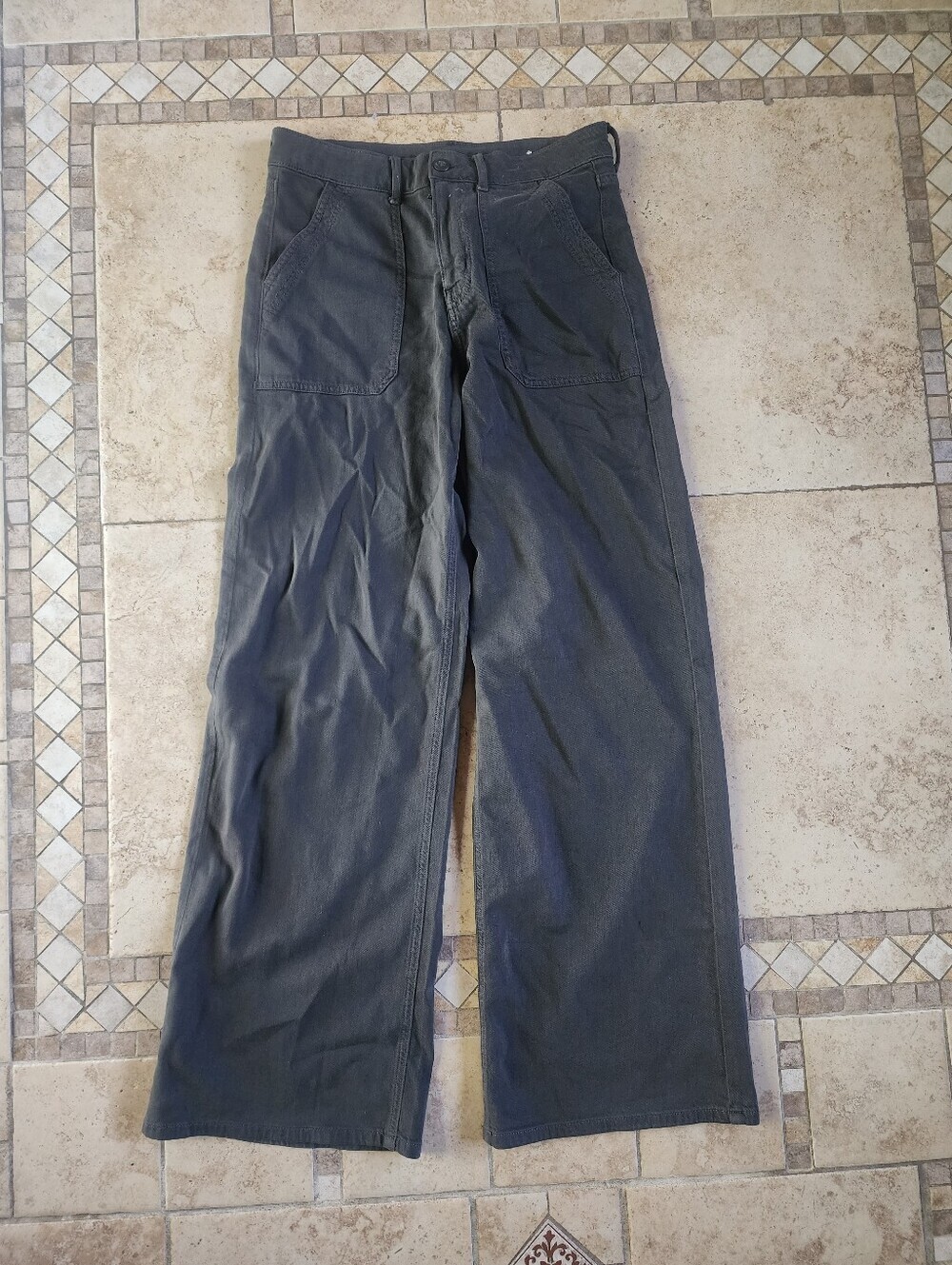 American Eagle Outfitters Baggy Wide Leg Pants